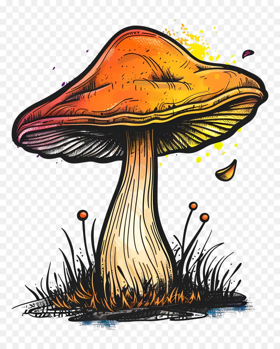 Champignons，Orange PNG