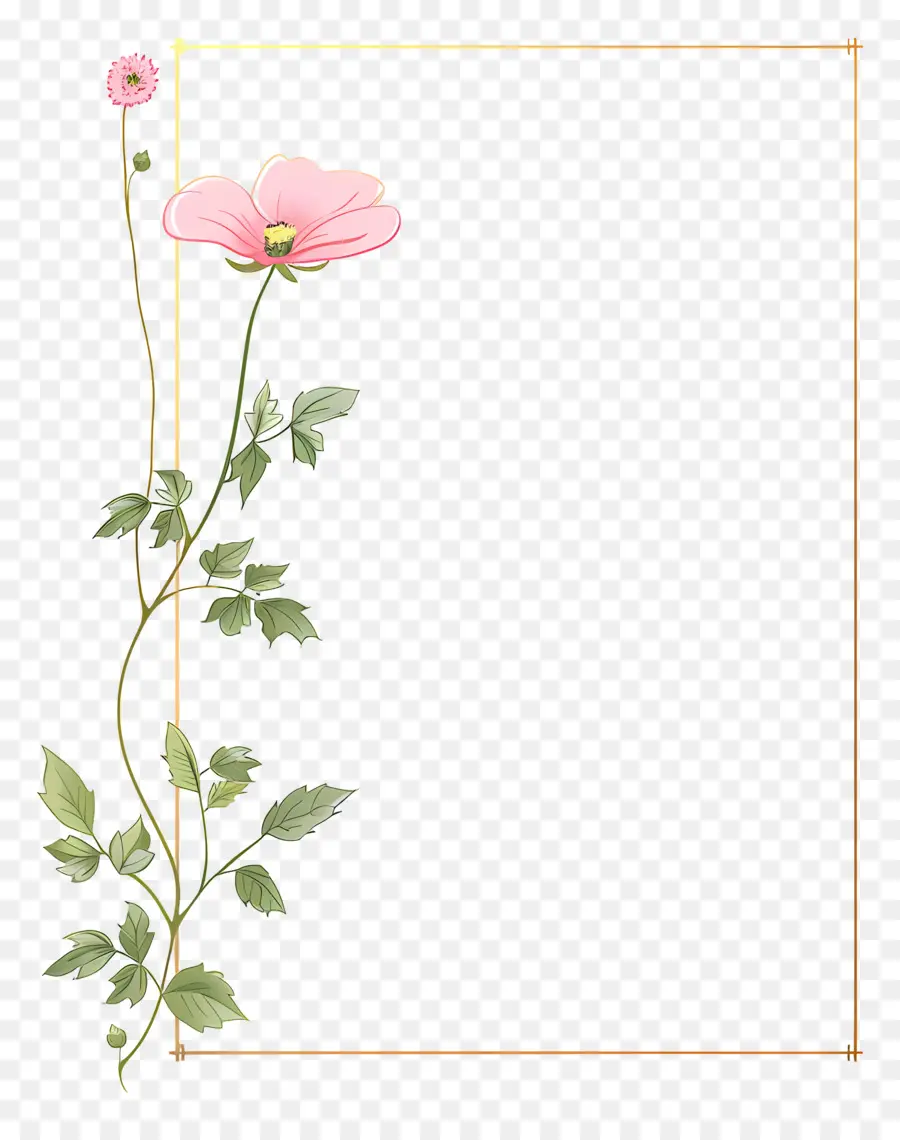 Or Frame，Fleur Rose PNG