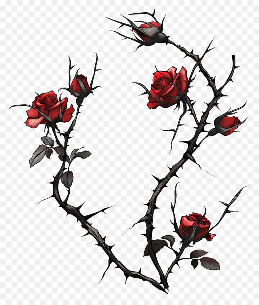 épines De Rose，Les Roses Rouges PNG