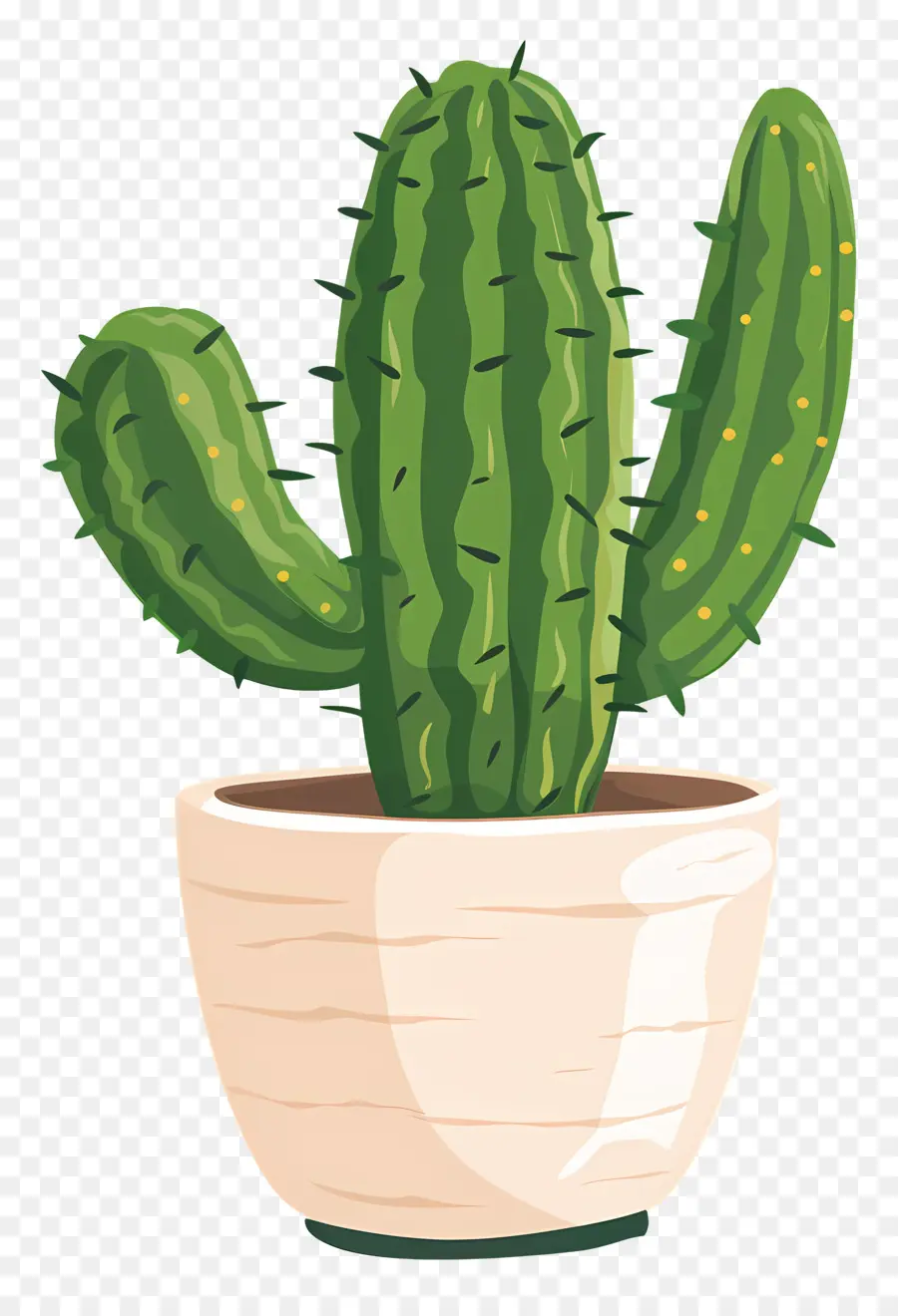 Vert Cactus，Cactus PNG