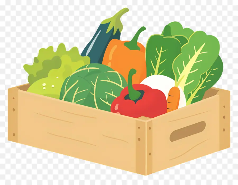 Légumes Boîte，Légumes Frais PNG