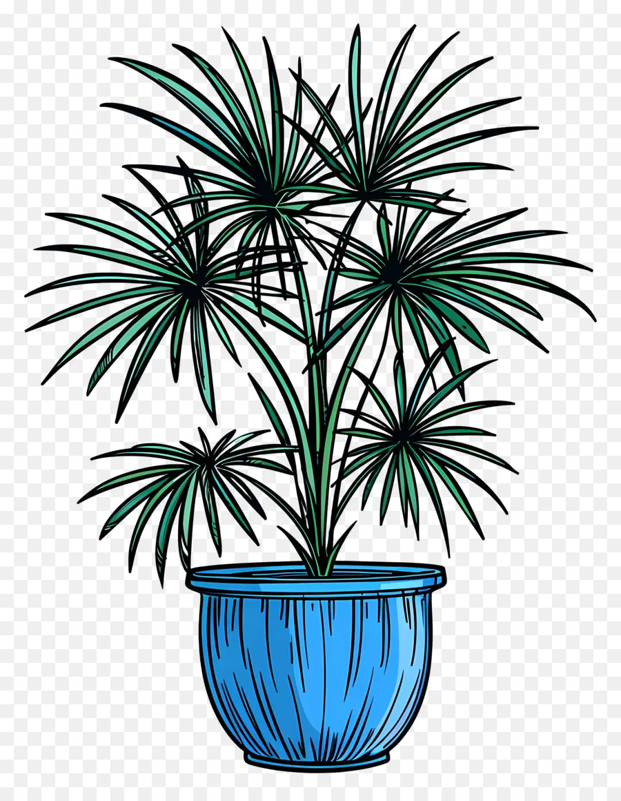 Mexicaine Fan Palm，Bleu Pot PNG