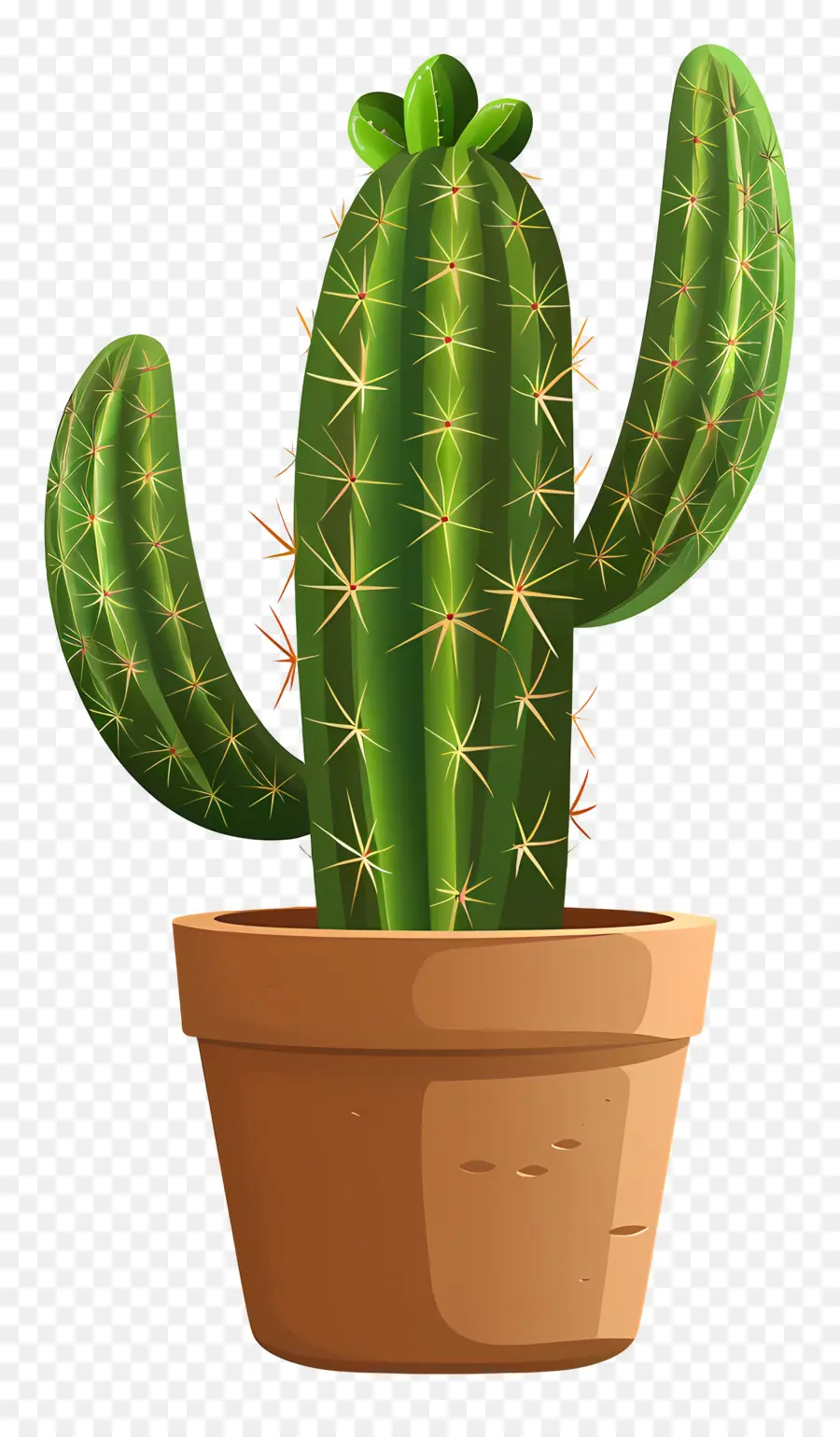 Vert Cactus，Succulent PNG