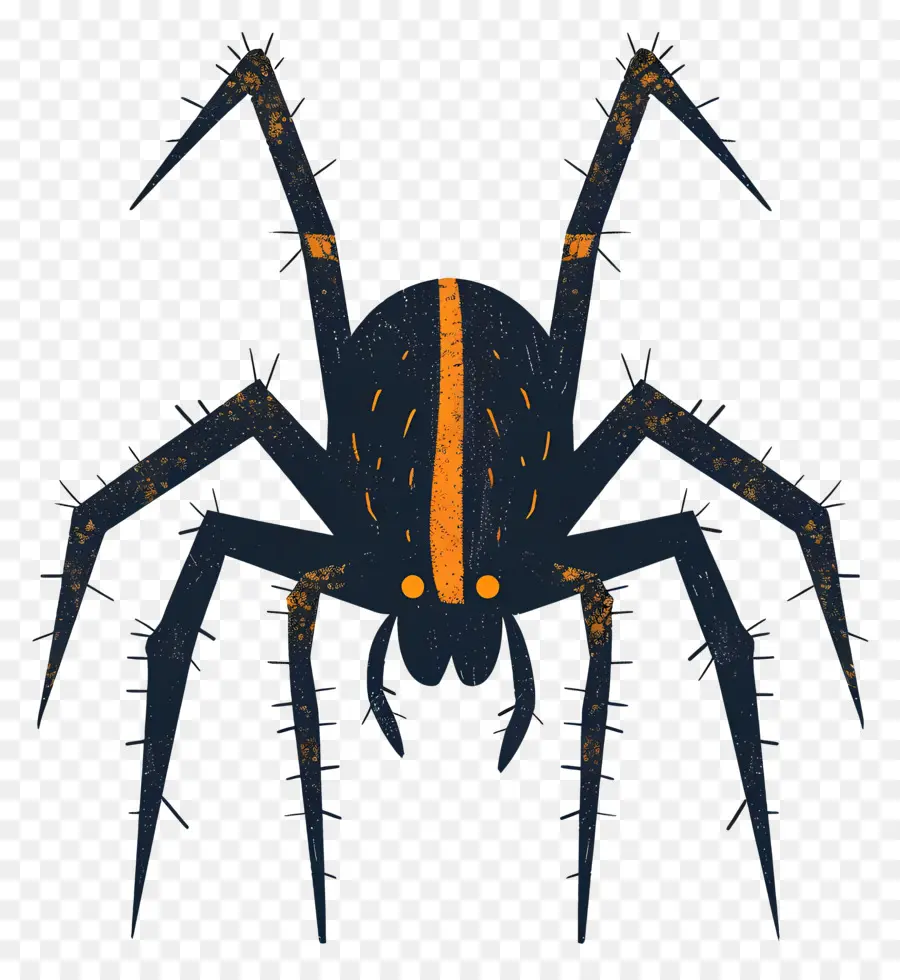 Araignée，Araignée Noire PNG