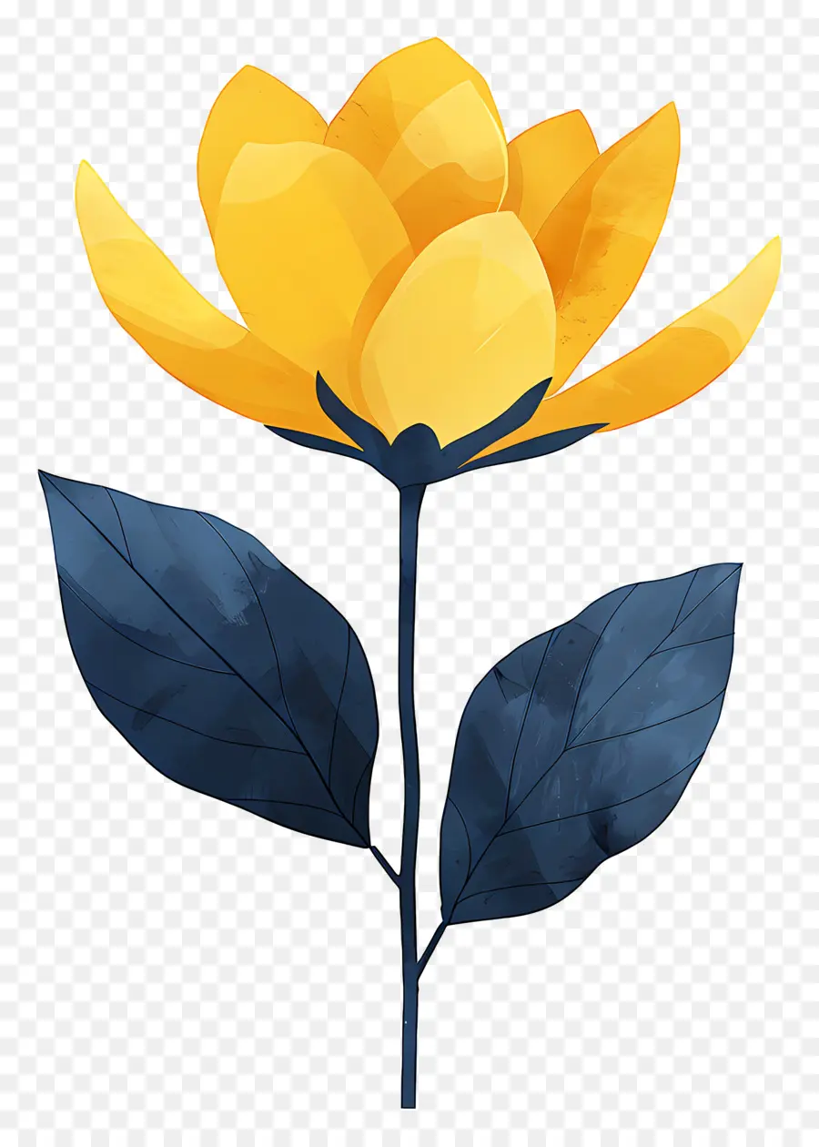 Fleur，Fleur Jaune PNG