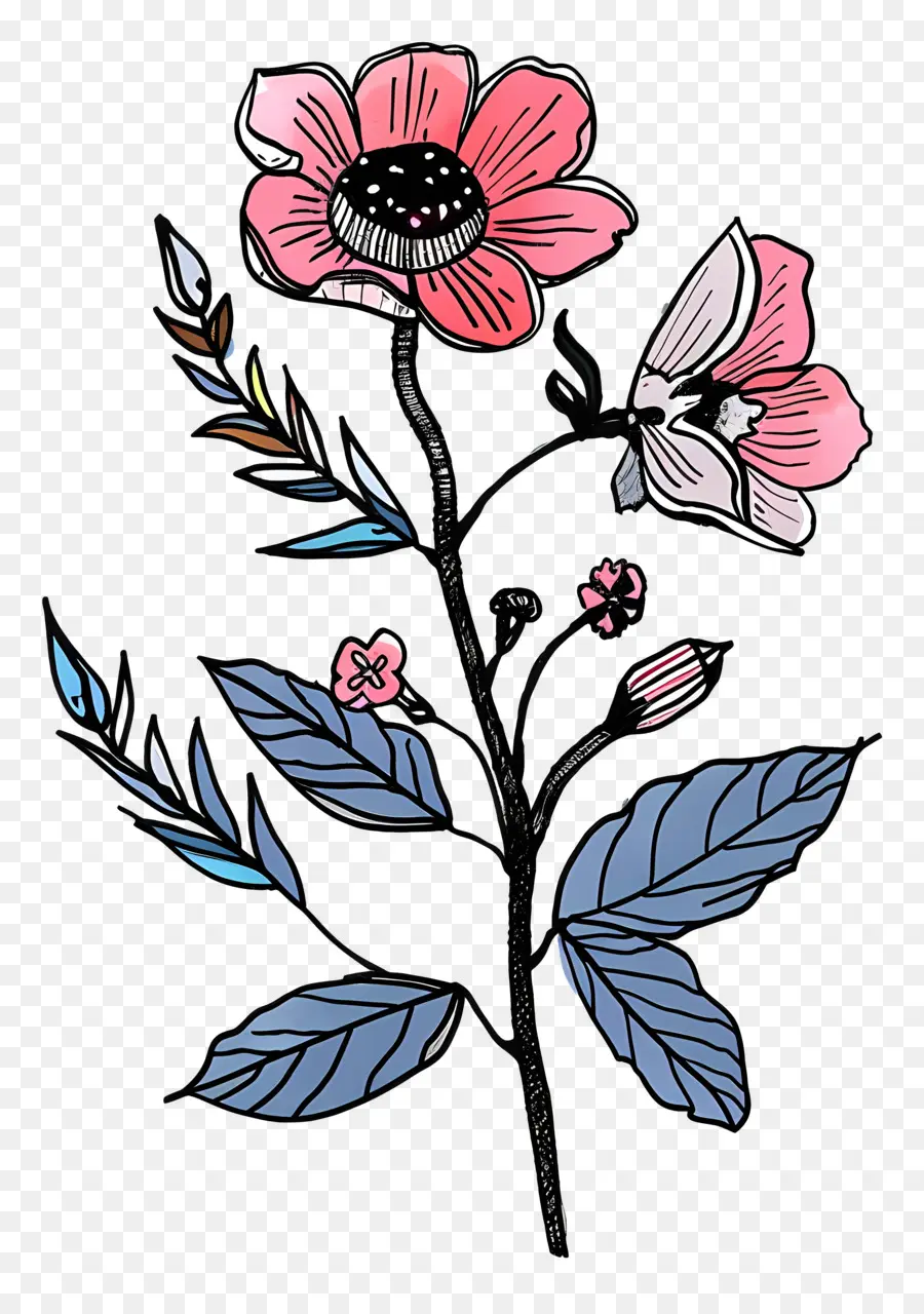 Dessin Animé De Fleurs，Handdrawn PNG