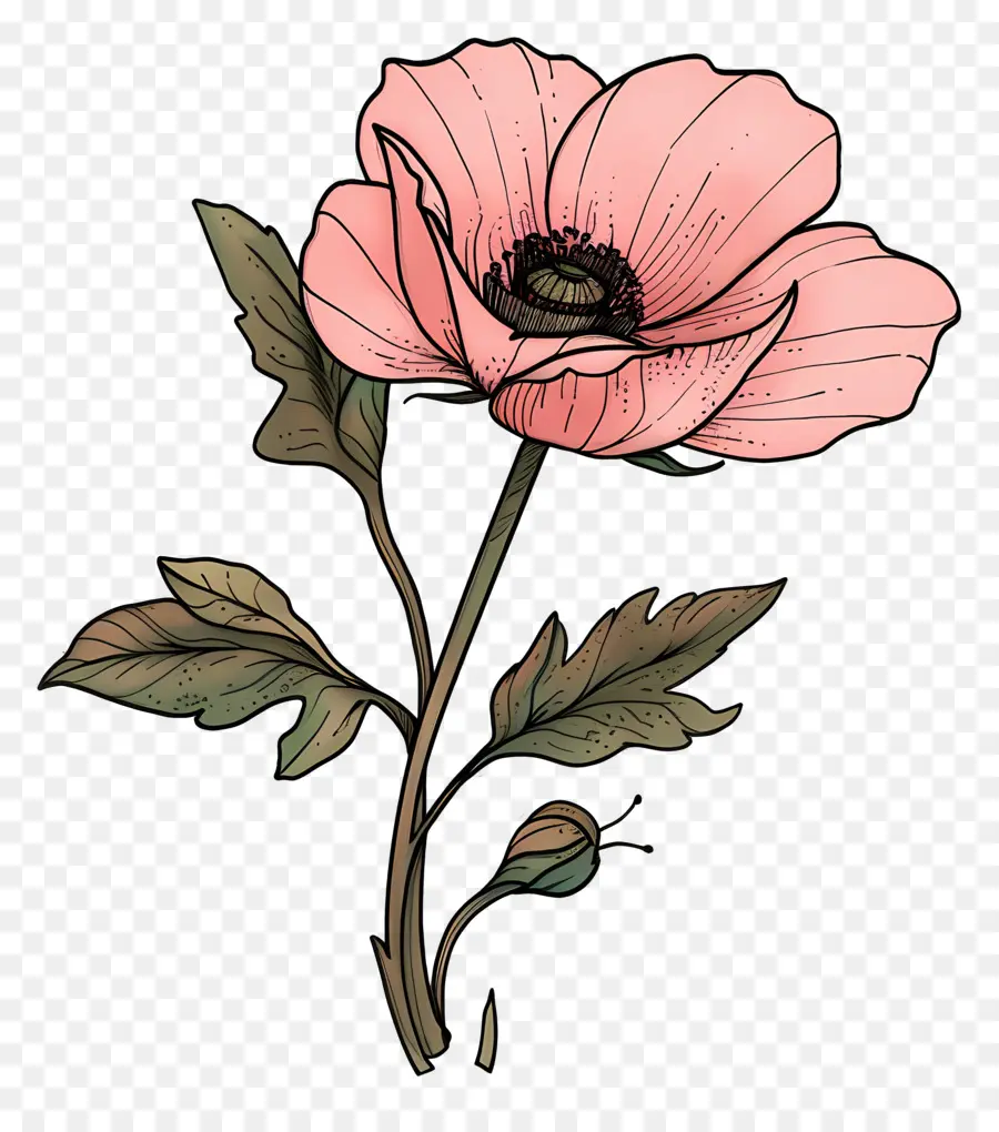 Dessin Animé De Fleurs，Fleur PNG