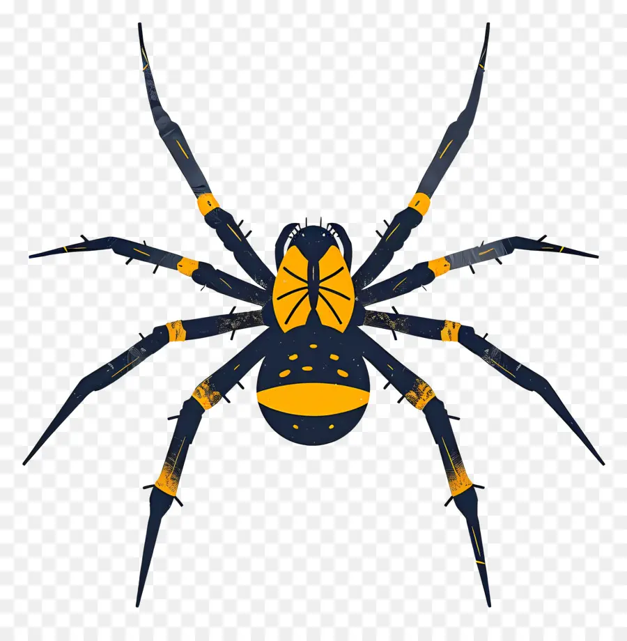 Araignée，Jaune D'araignée PNG