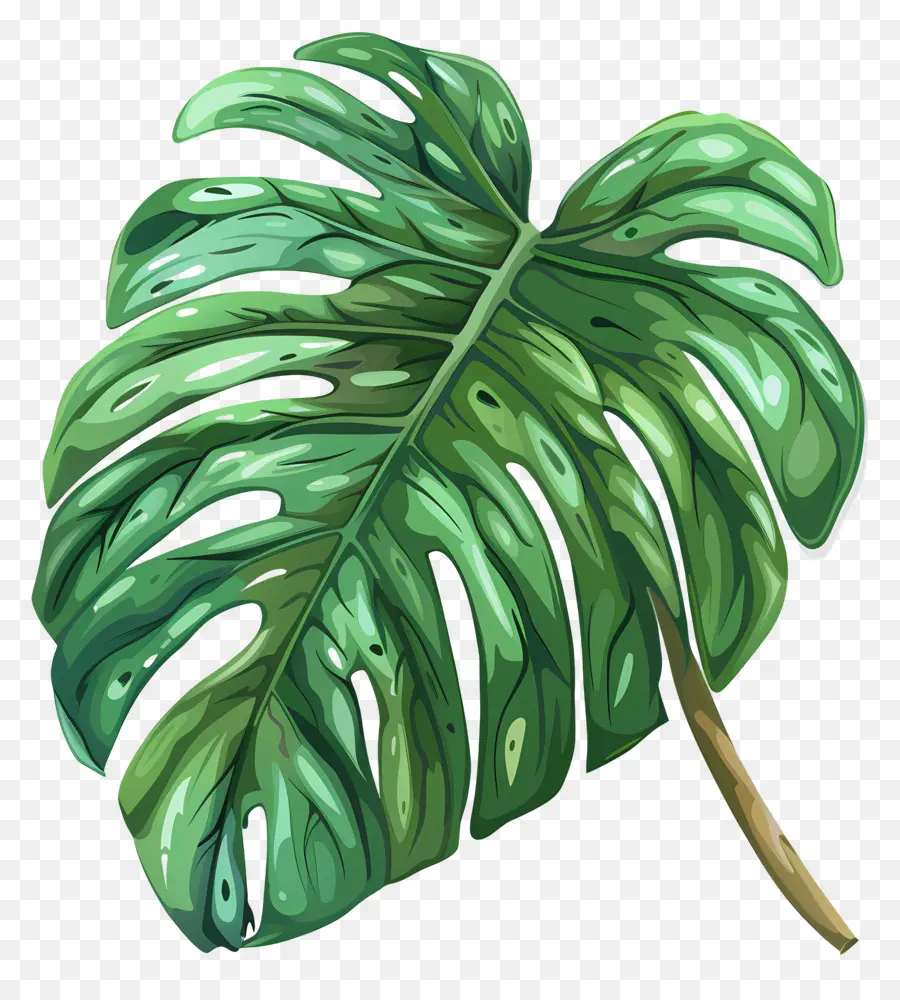 Feuille De Monstera，Grande Plante à Feuilles PNG