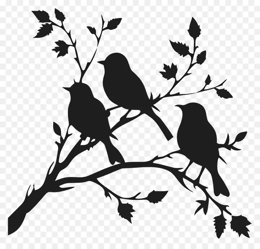 Oiseaux Assis Sur Une Branche，Les Oiseaux PNG