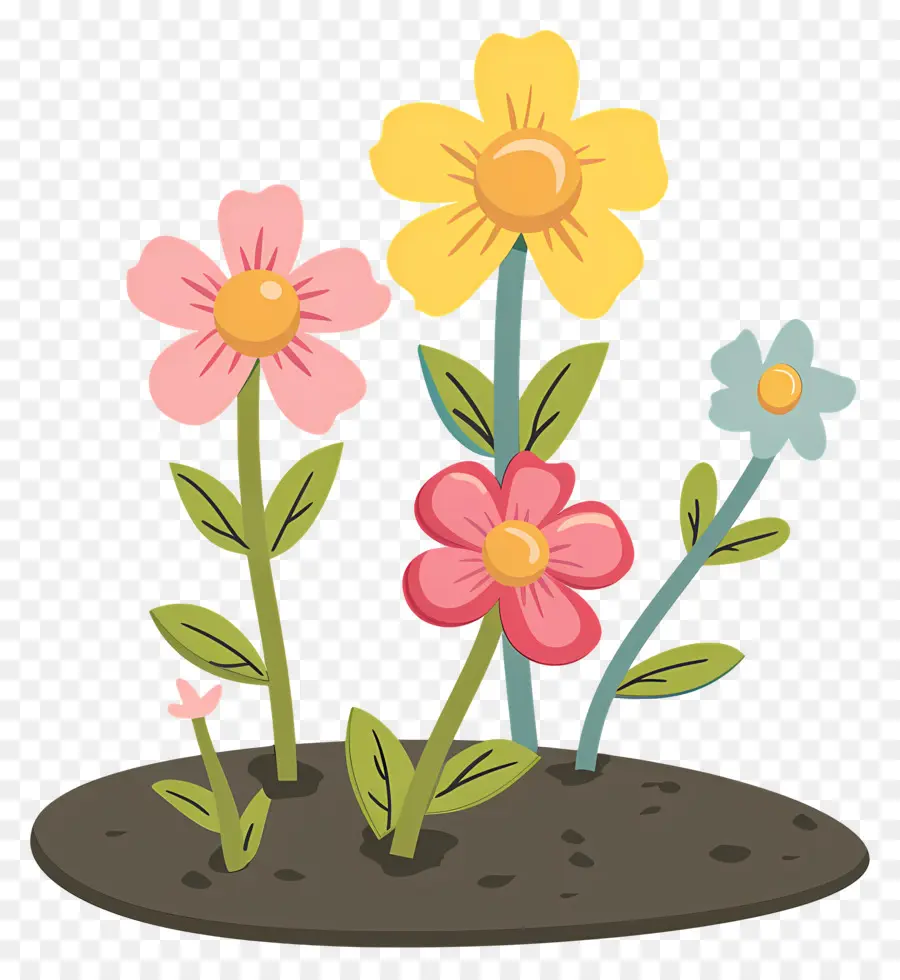 Fleurs Qui Poussent，Fleurs Colorées PNG