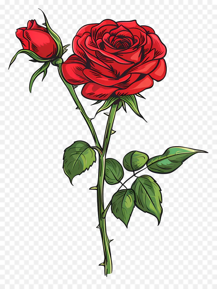 Seule Rose，Rose Rouge PNG