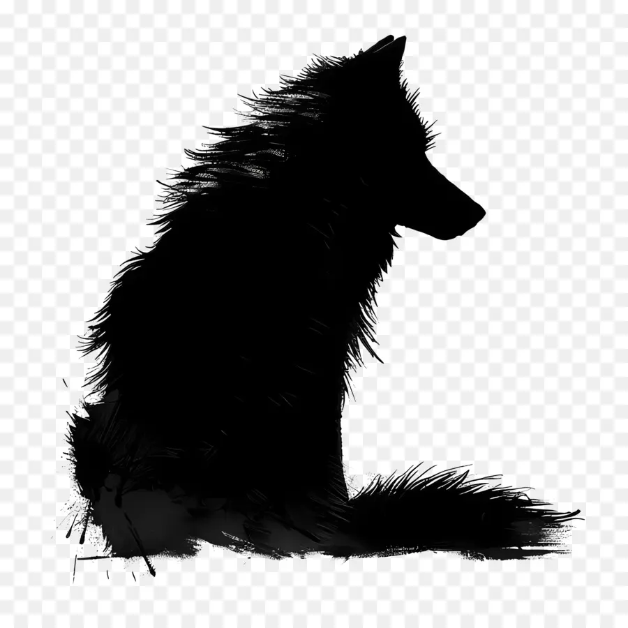 Loup Silhouette，Loup Noir PNG