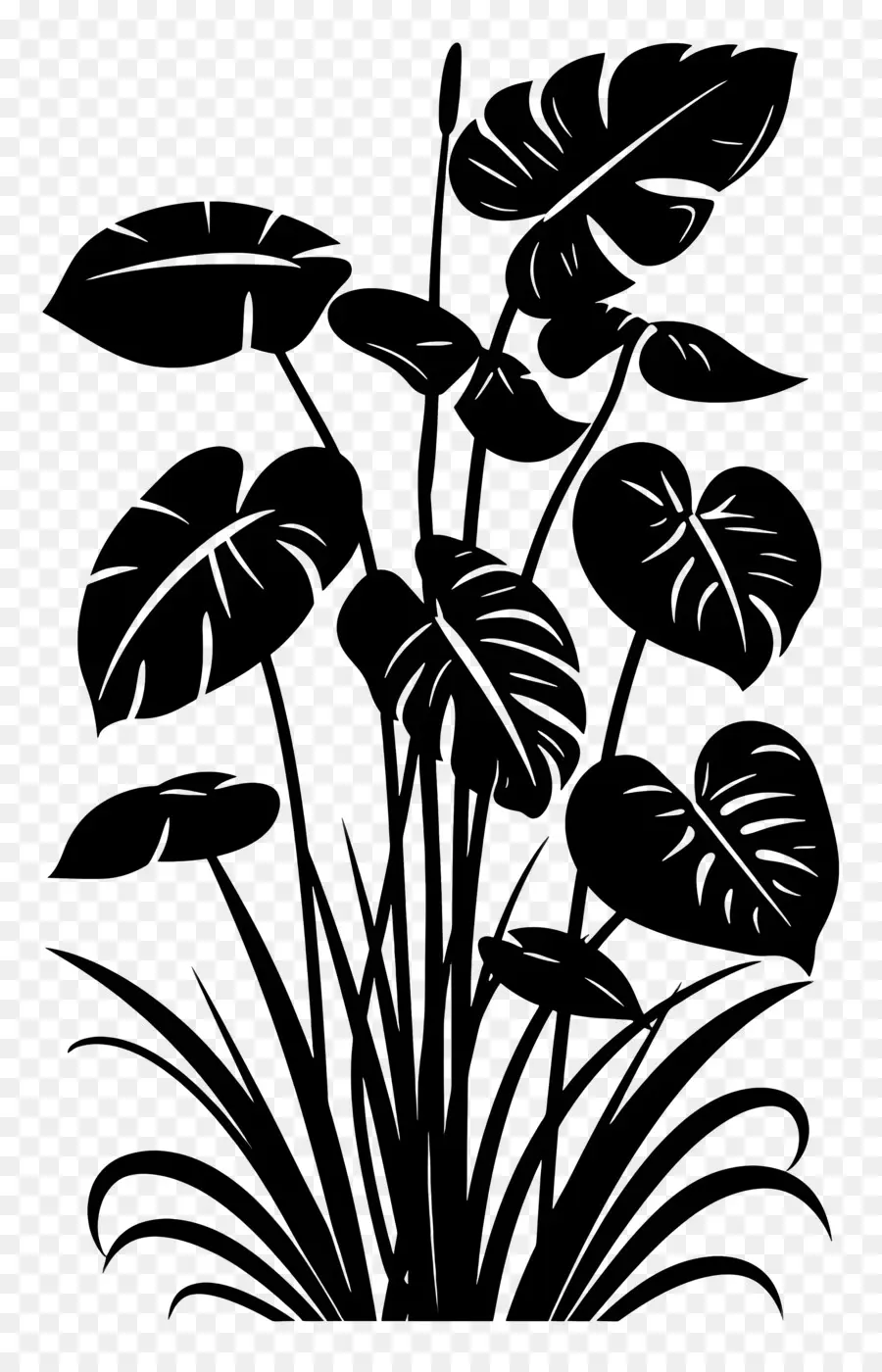 Plante De La Silhouette，Usine De Dessin PNG