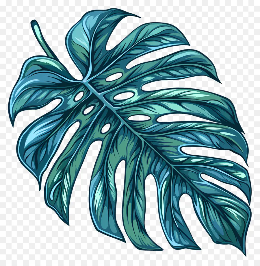 Feuille De Monstera，Monstre De La Feuille PNG