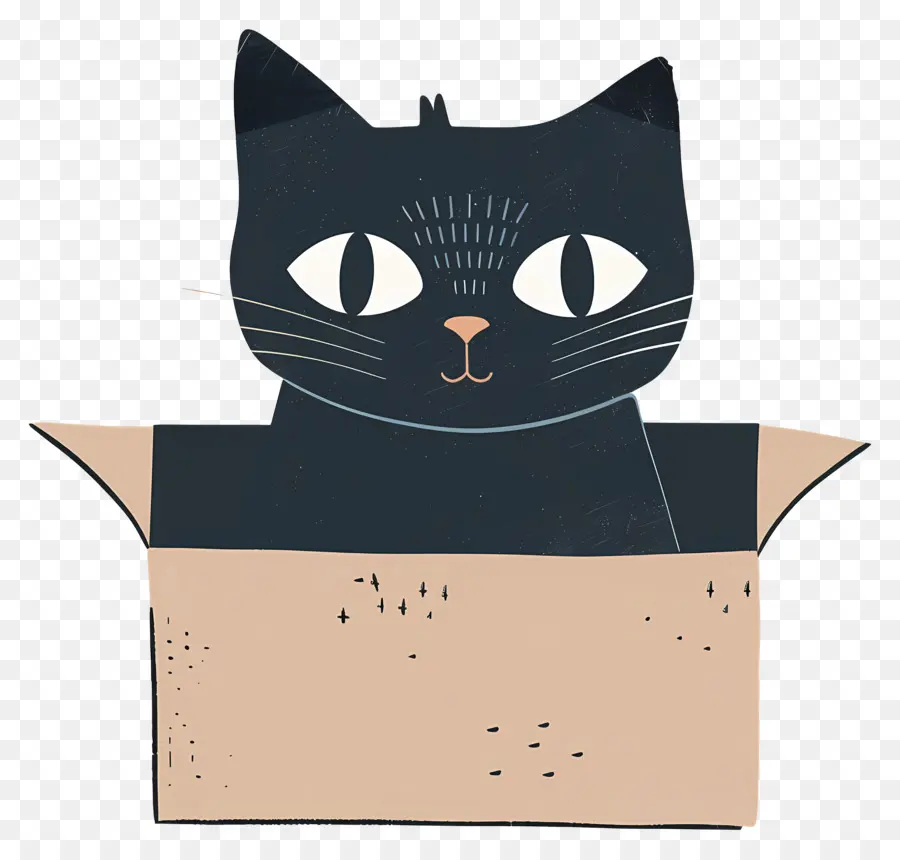 Le Chat Dans La Boîte，Chat Noir PNG