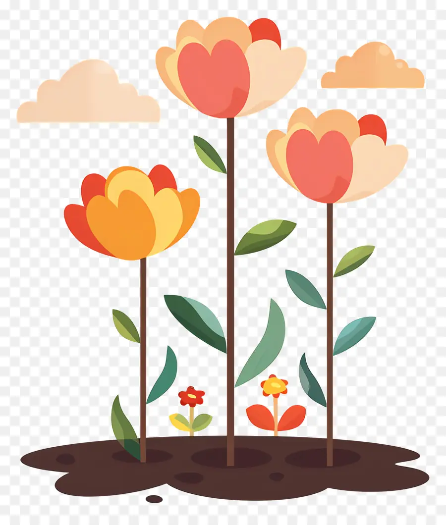 Fleurs Qui Poussent，Plantes à Fleurs PNG