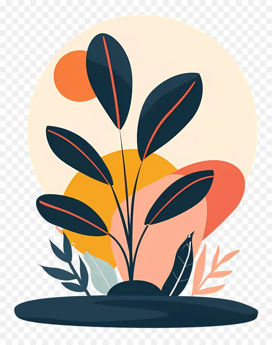 Plante De La Silhouette，Plante Illustration PNG