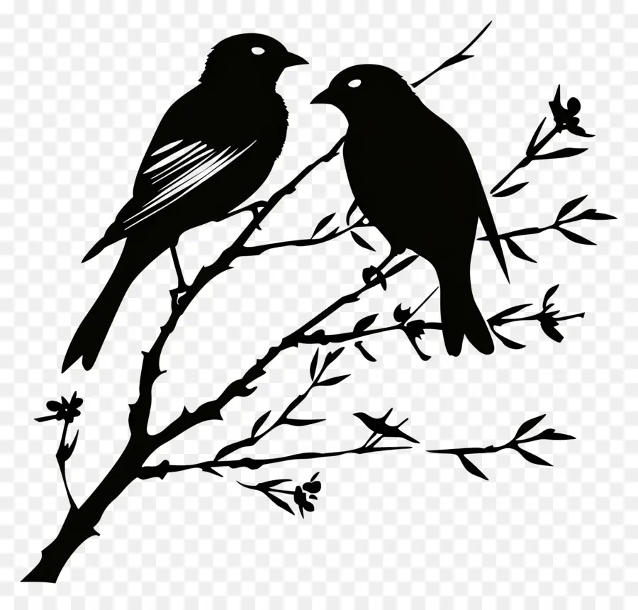 Oiseaux Assis Sur Une Branche，Oiseaux Sur Branche PNG