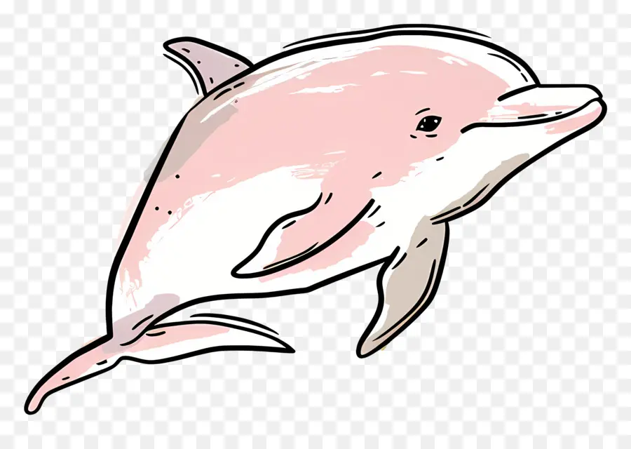 Mignon Dauphins，Dauphin Rose PNG
