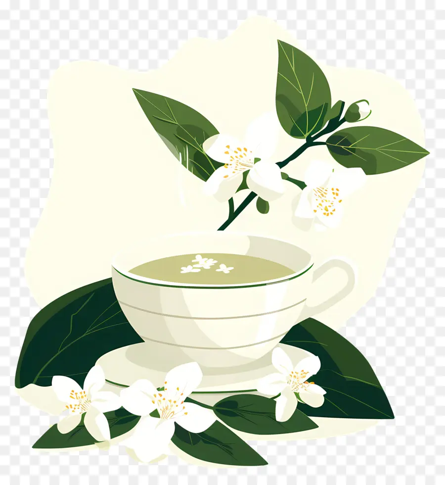 Thé Au Jasmin，Tasse à Thé PNG