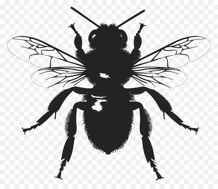 Silhouette D'abeille，Abeille PNG