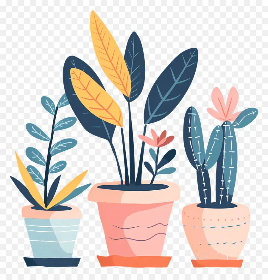 Plantes，Plantes En Pot PNG