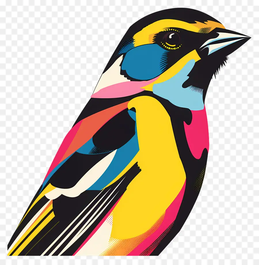 Oiseau，Oiseau Coloré PNG