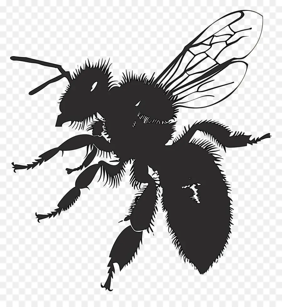 Abeille Silhouette，L'abeille à Miel PNG