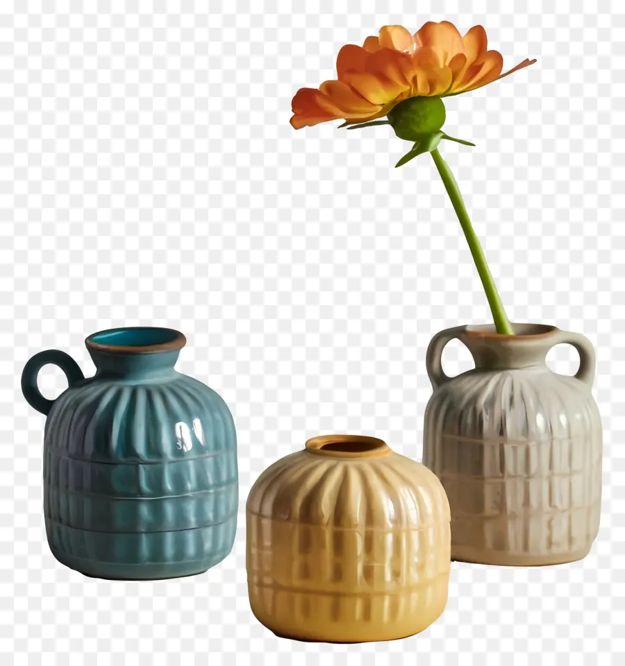 Les Plantes，Vases PNG