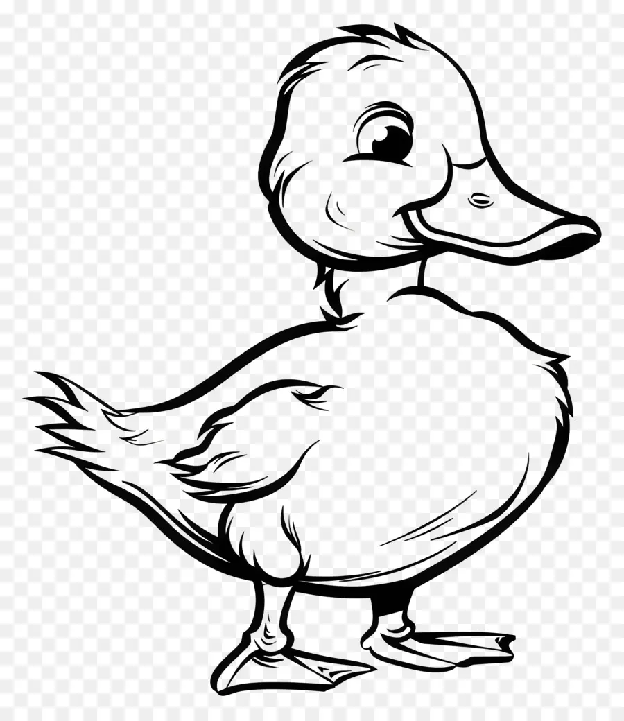 Canard，Noir Et Blanc PNG