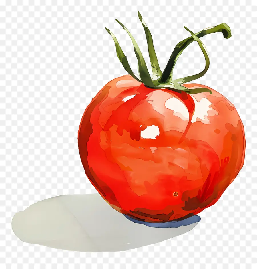 Tomate，Mûres PNG