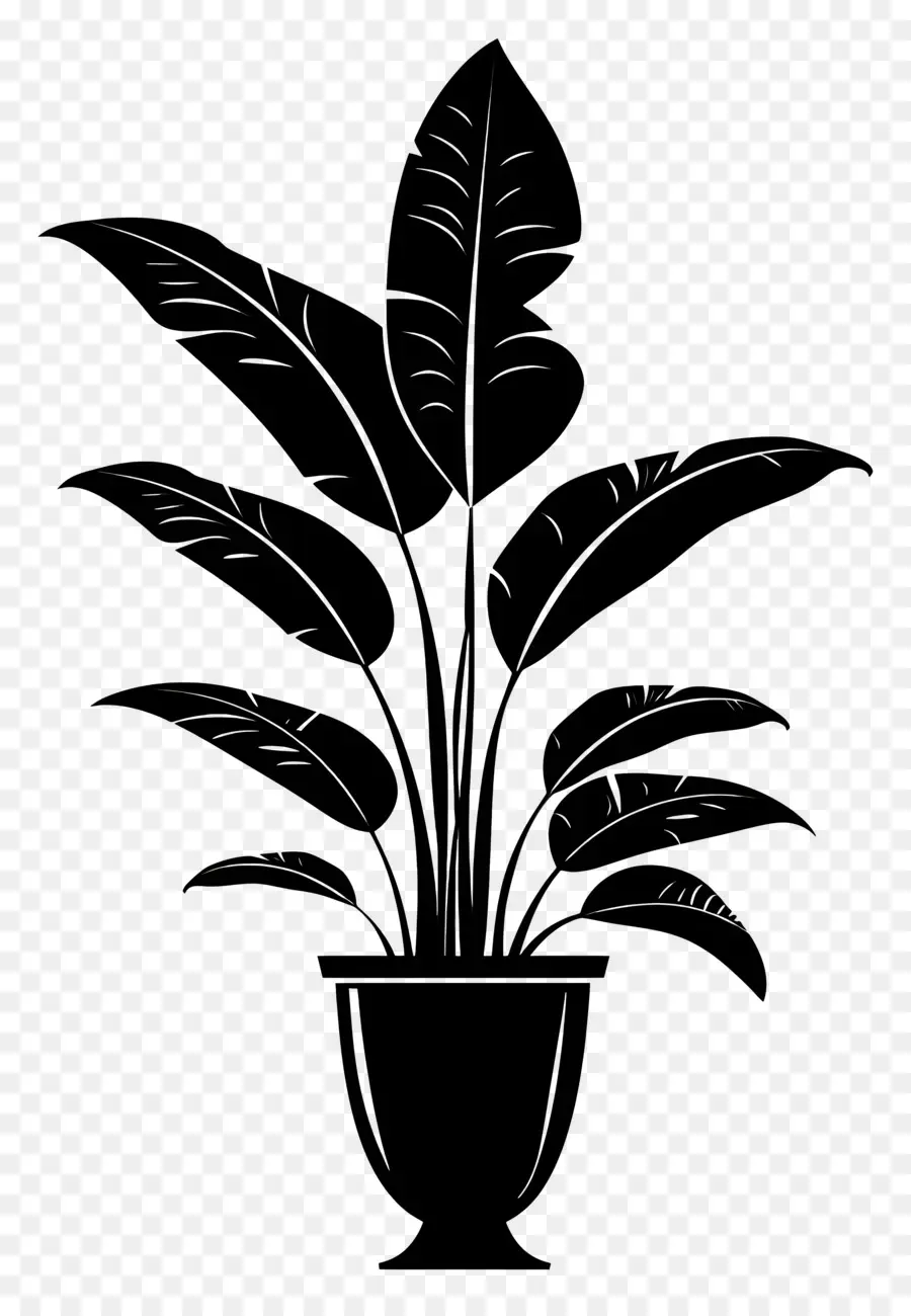 Plante De La Silhouette，Plante D'intérieur PNG