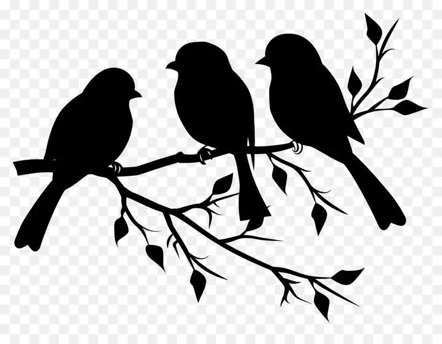 Oiseaux Assis Sur Une Branche，Arrière Plan Noir PNG