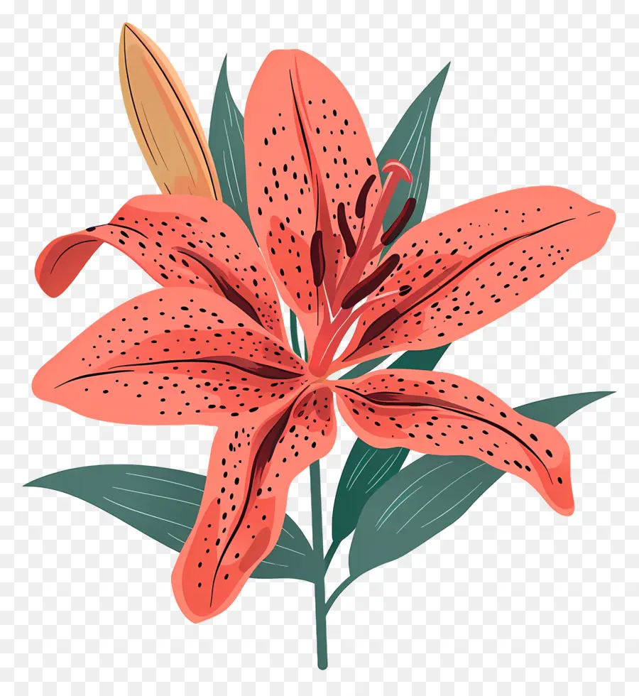 Fleur De Lys，Lys Oranges PNG