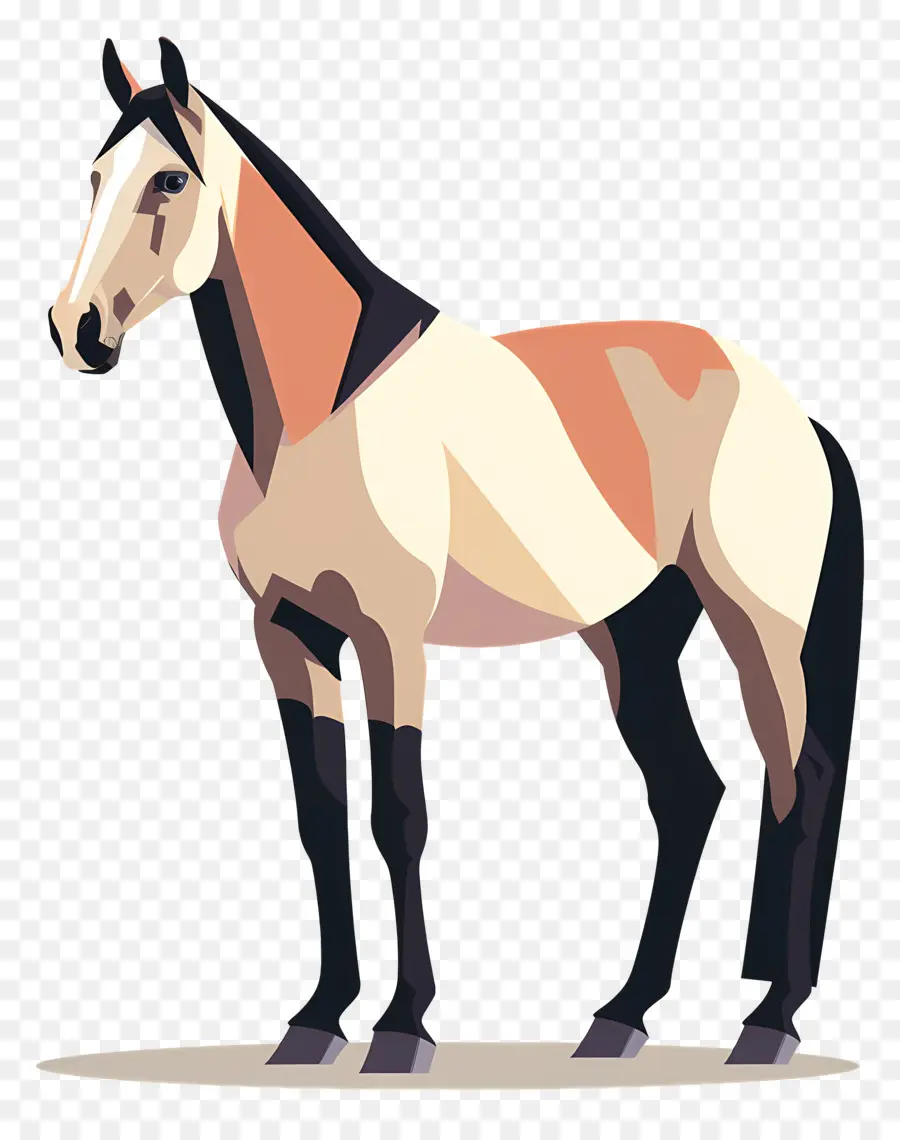 Cheval，équilibré PNG