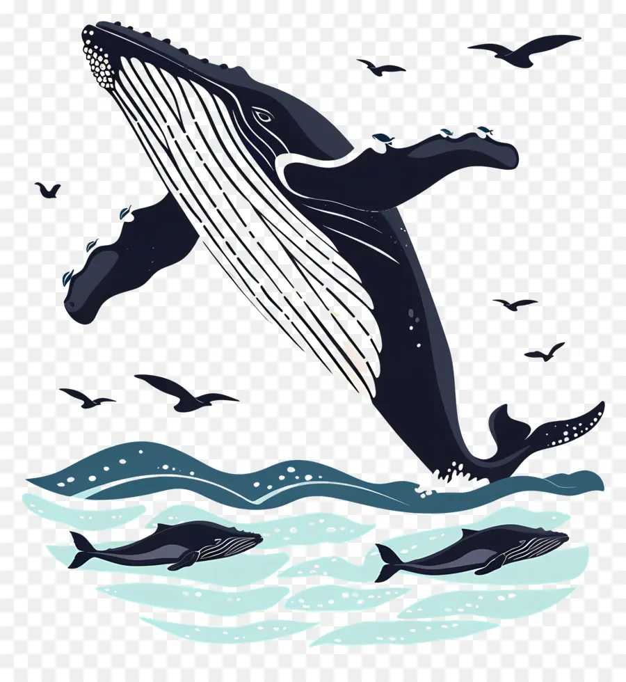 Observation Des Baleines，Baleine PNG