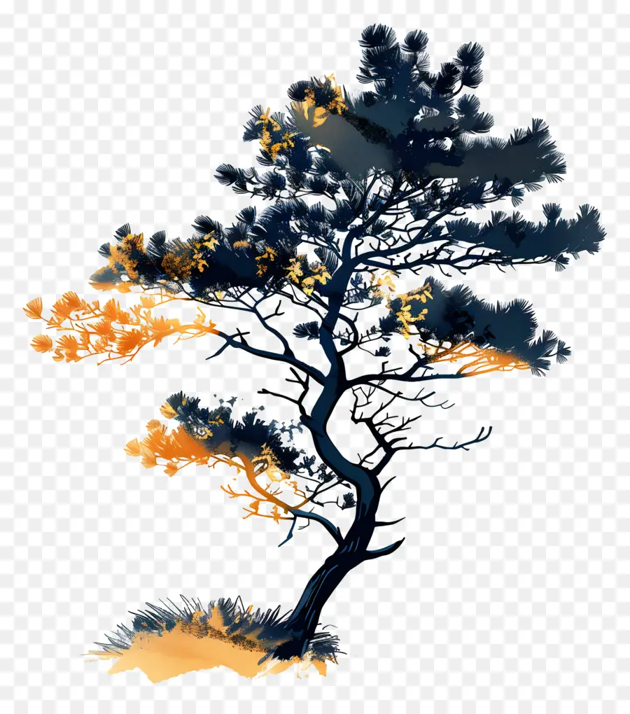 Silhouette De Pin，Arbre Bleu PNG