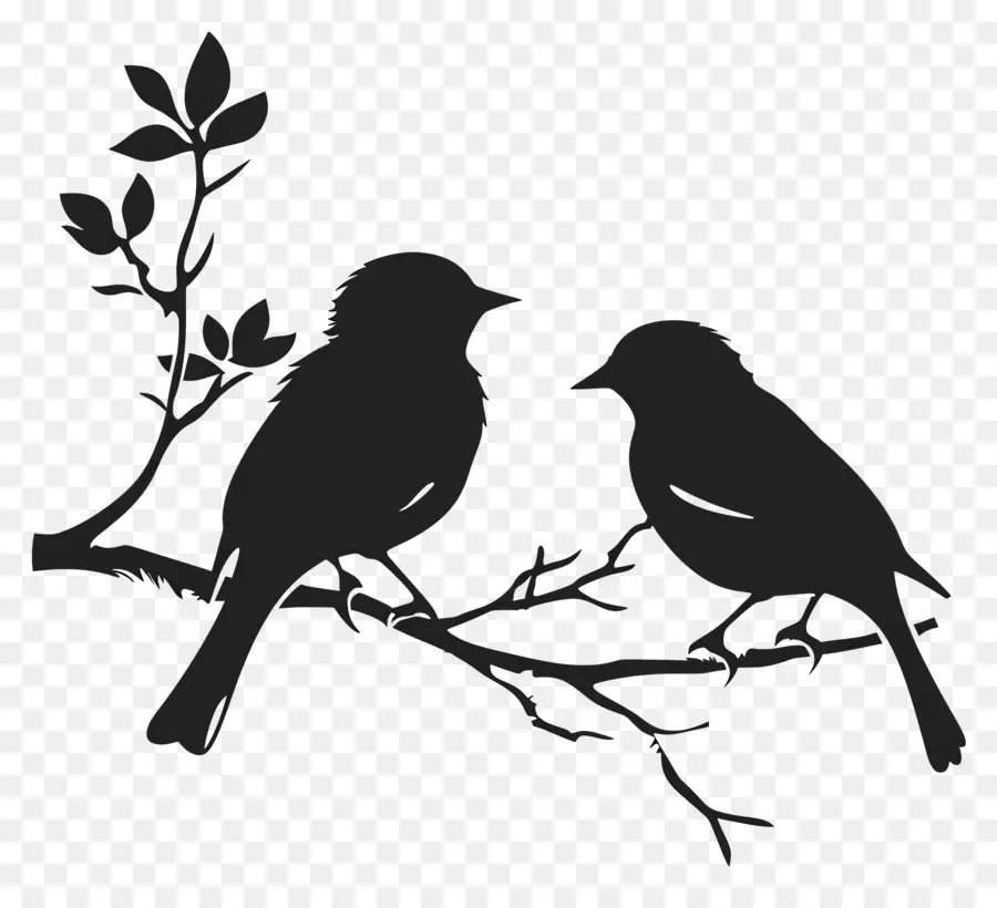 Oiseaux Assis Sur Une Branche，Oiseaux Sur Branche PNG