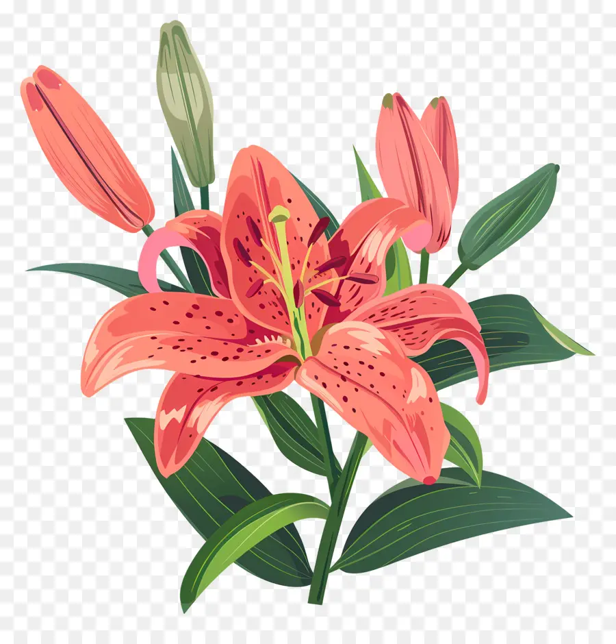 Fleur De Lys，Lily Rose PNG