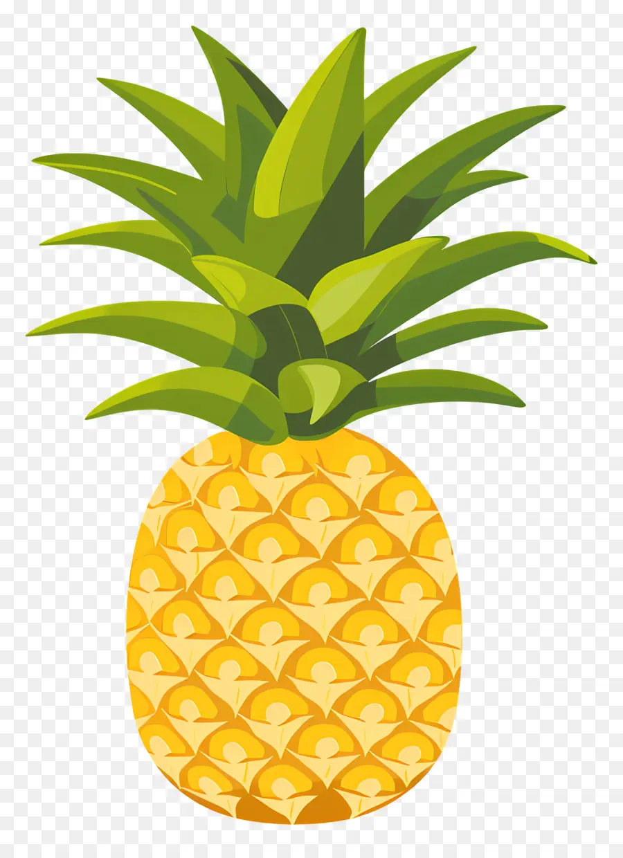 Ananas，Tropical PNG