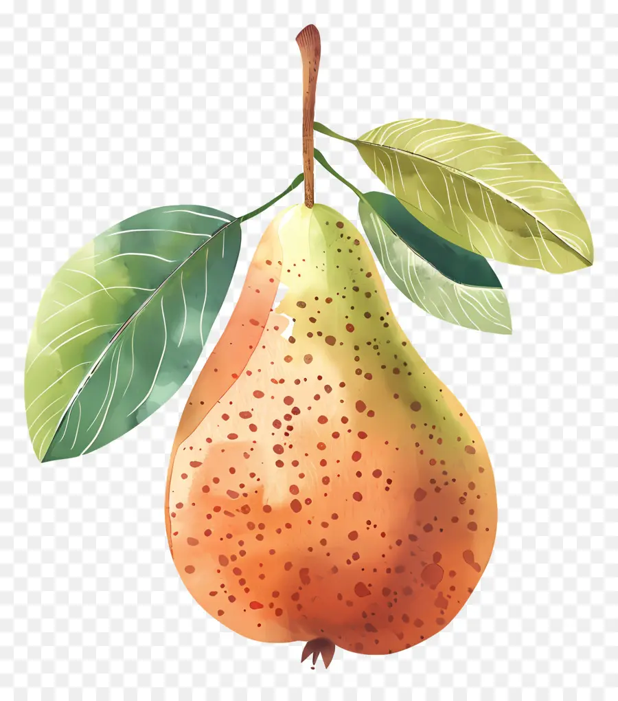 Poire，Feuilles PNG