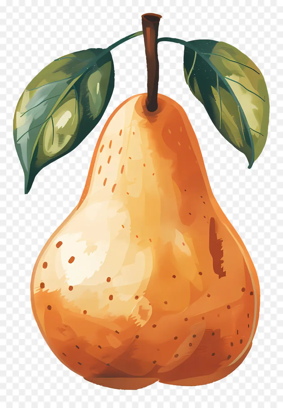 Poire，Poire Mûre PNG