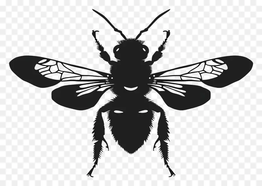 Abeille Silhouette，Abeille PNG