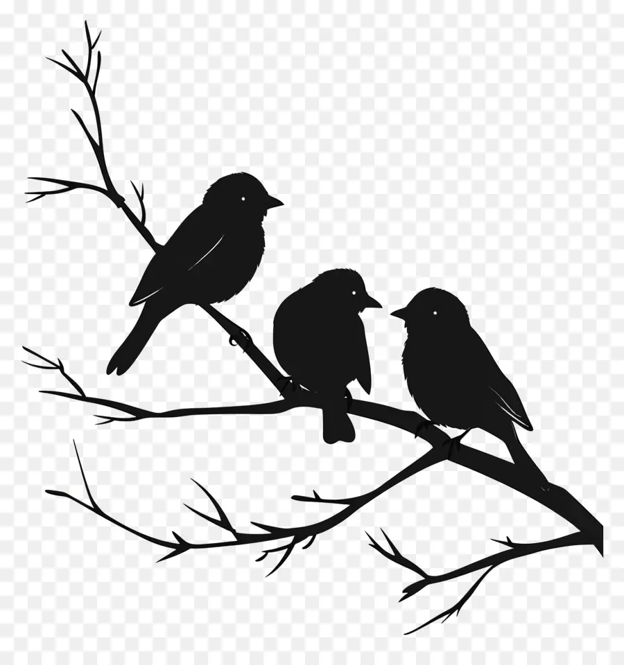 Oiseaux Assis Sur Une Branche，Oiseau Silhouette PNG
