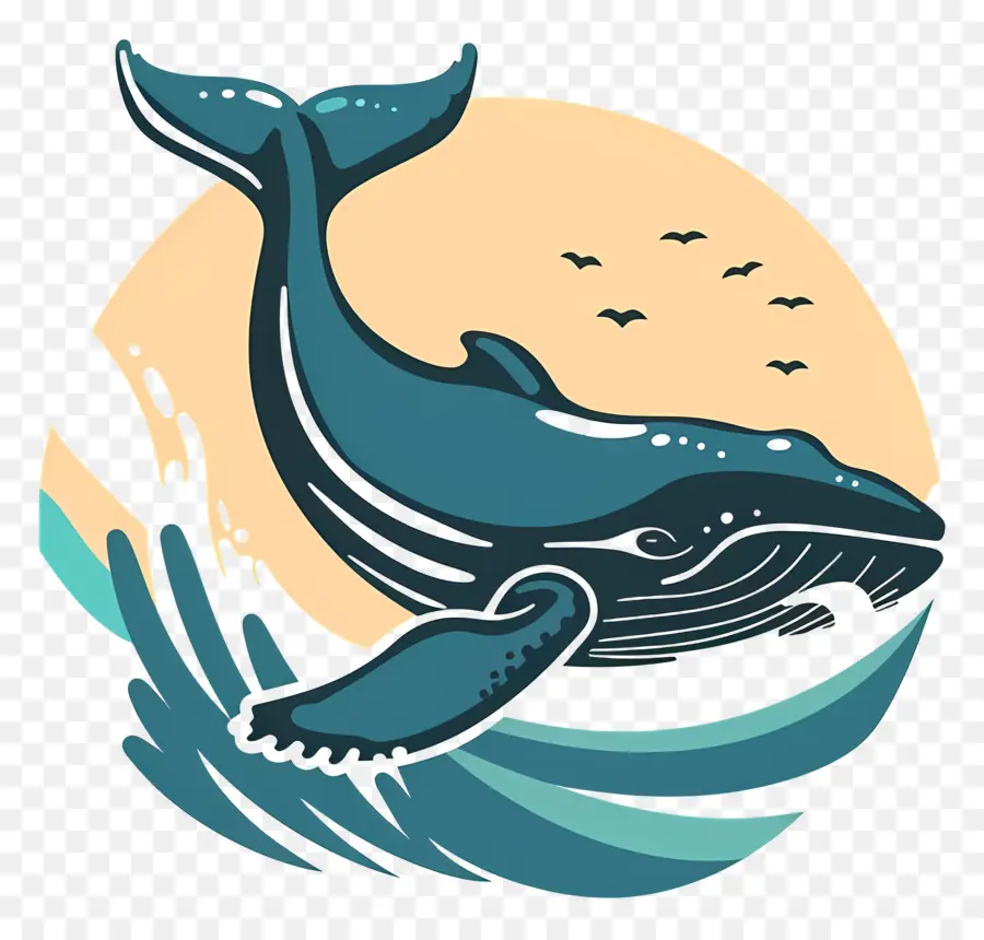 Observation Des Baleines，Baleine PNG