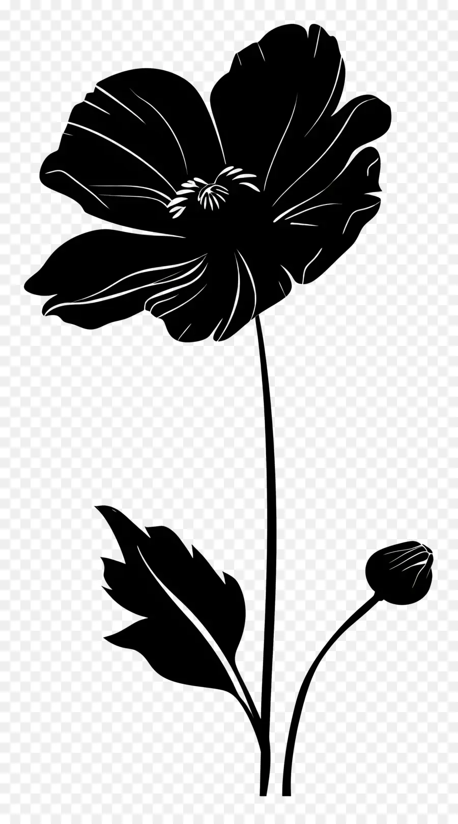 Fleur Silhouette，Le Noir Et Le Blanc De La Fleur PNG