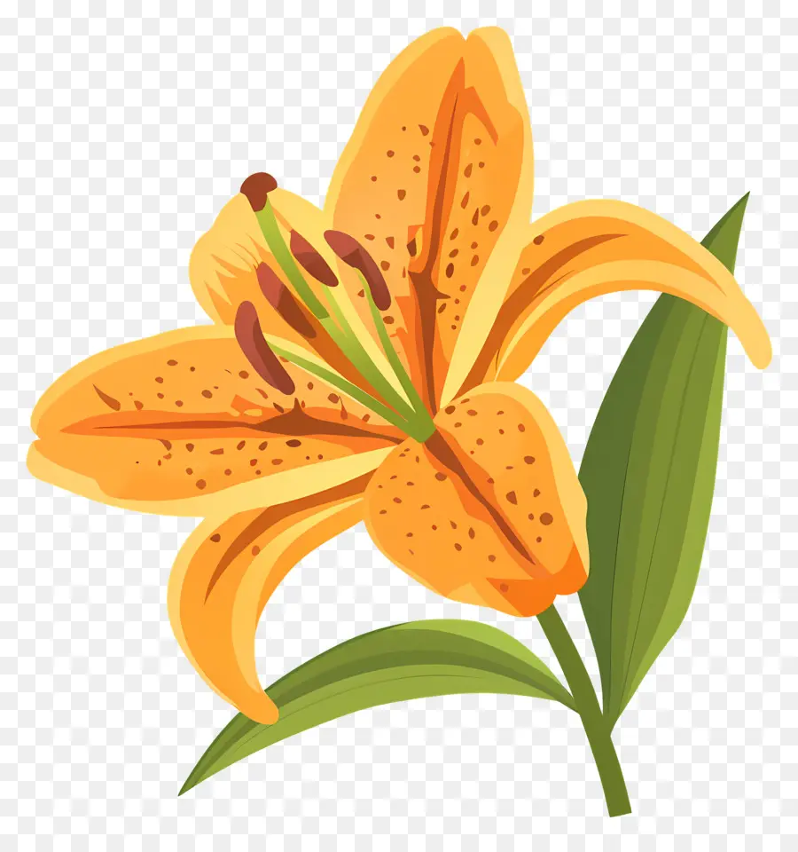 Fleur De Lys，Lys Orange PNG