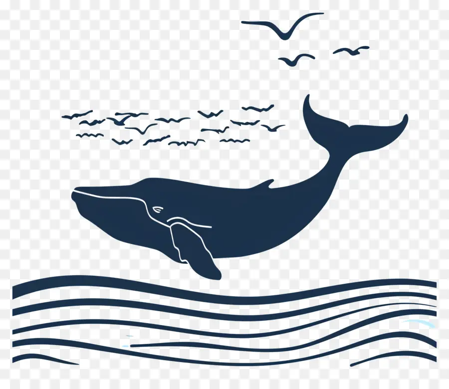 Observation Des Baleines，Baleine PNG