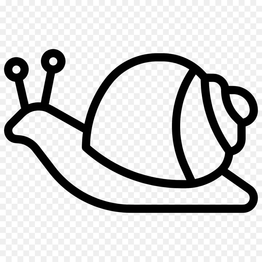 Escargot，Contour PNG